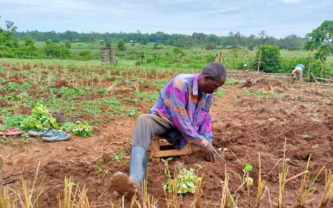 Food Production